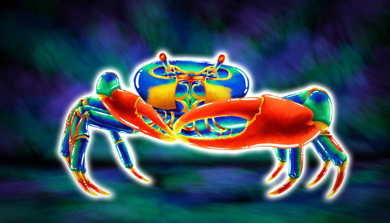 C Totem Crab