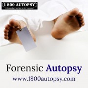 FORENSIC AUTOPSY