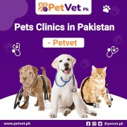 Pets clinics in Pakistan