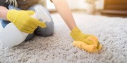 Choice Rug Cleaning Melbourne